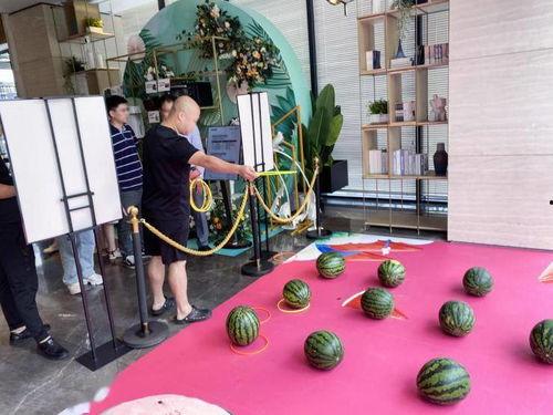 娱乐吃瓜节,年度狂欢盛宴，揭秘娱乐圈幕后风云