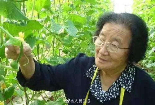 娱乐吃瓜酱不喜欢冬天,娱乐吃瓜酱偏爱暖阳时光