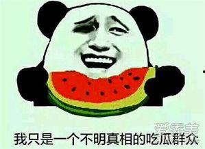吃瓜群众娱乐版在线观看,揭秘热门综艺幕后故事，带你畅游欢乐海洋