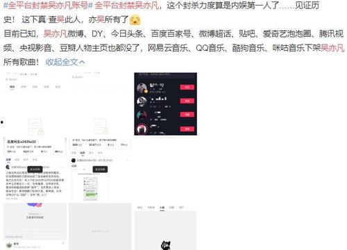 娱乐吃瓜账号是什么意思,揭秘娱乐圈幕后真相
