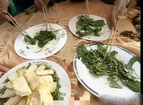 娱乐吃瓜新粉,吃瓜指南，轻松解锁娱乐圈秘密！