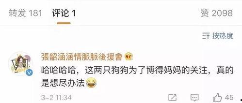 24点吃瓜娱乐,揭秘娱乐圈背后的24小时风云变幻