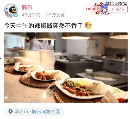 娱乐吃瓜酱酸菜的小说,揭秘娱乐圈背后的酸甜苦辣