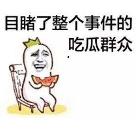 娱乐吃瓜酱爱藏在废话里,藏在废话里的趣味揭秘
