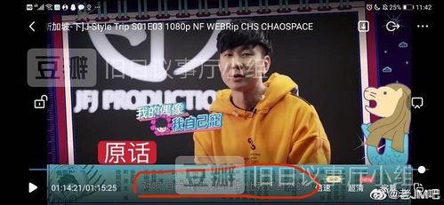 娱乐在线吃瓜周杰伦,吃瓜群众的热议焦点